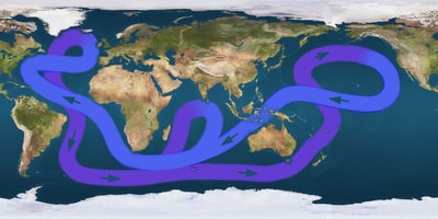 Carte de la circulation thermohaline à l'échelle mondiale