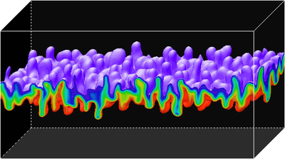 Simulation numérique de salt fingers